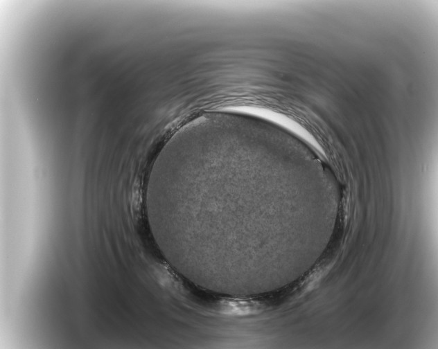 X0000085310372200703161456