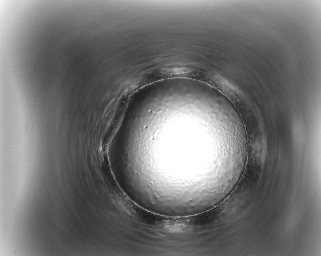 X0000085310373200703161456