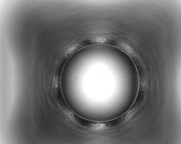 X0000085310374200703161456