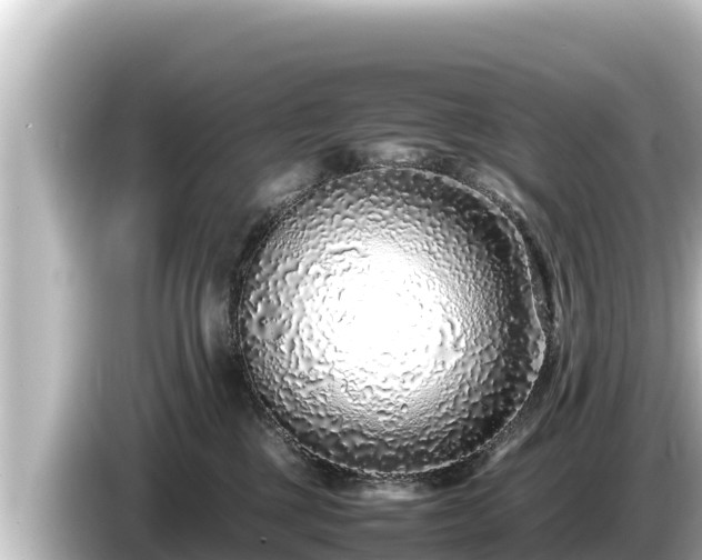 X0000085310377200703161456