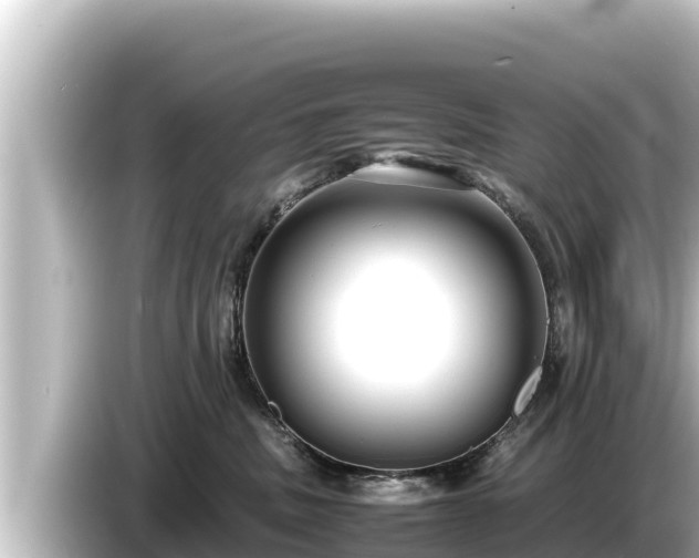 X0000085310379200703161456