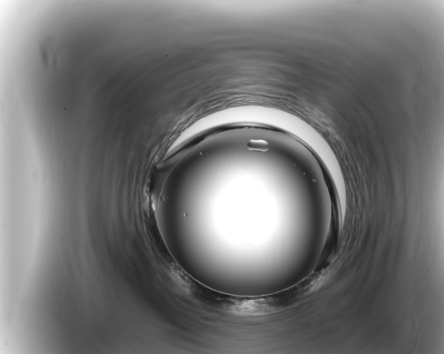 X0000085310382200703161456