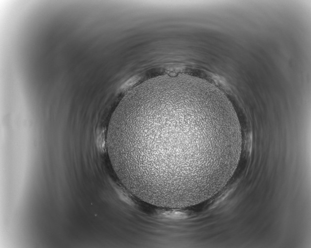 X0000085310383200703161456