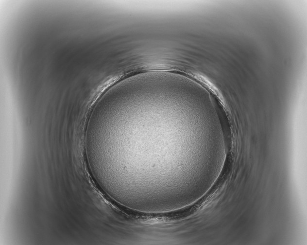 X0000085310385200703161456