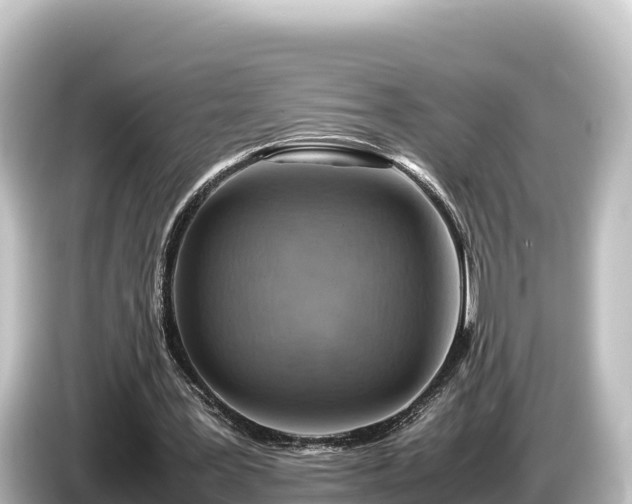 X0000085310387200703161456