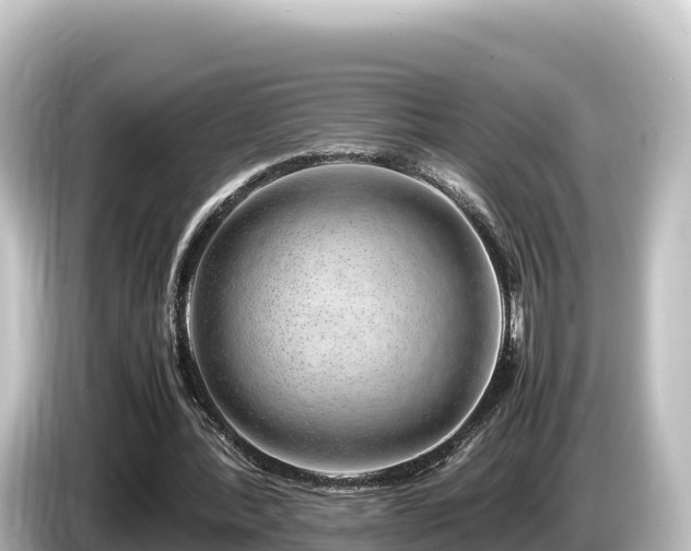X0000085310388200703161456