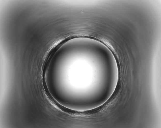 X0000085310389200703161456