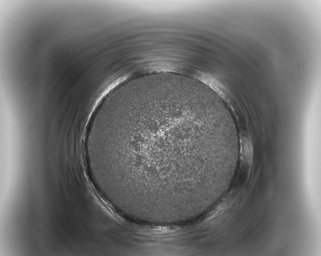 X0000085310390200703161456