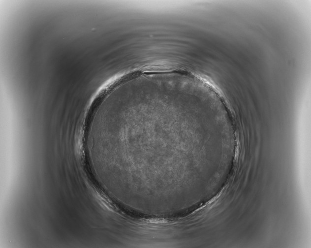 X0000085310392200703161455