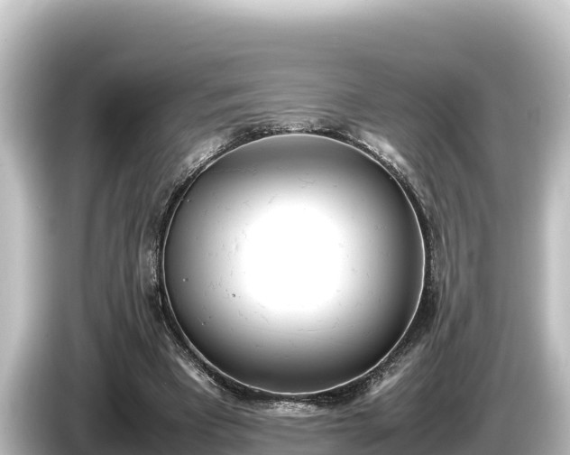 X0000085310393200703161455
