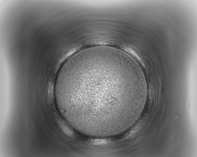 X0000085310394200703161455