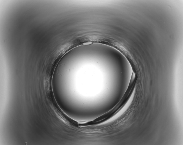 X0000085310397200703161455