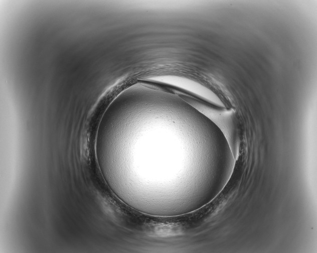X0000085310400200703161455