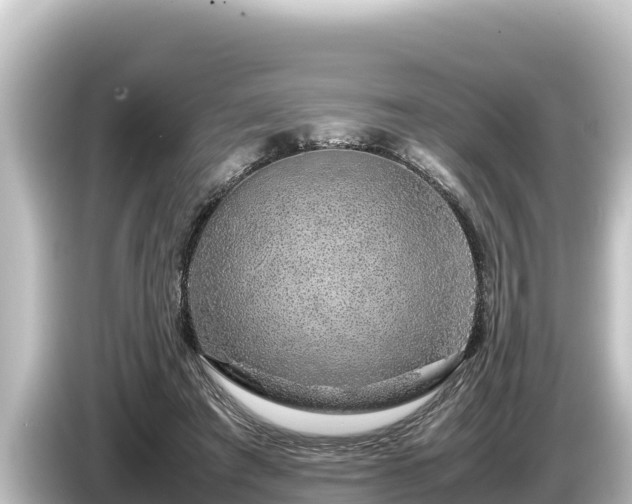 X0000085310401200703161455