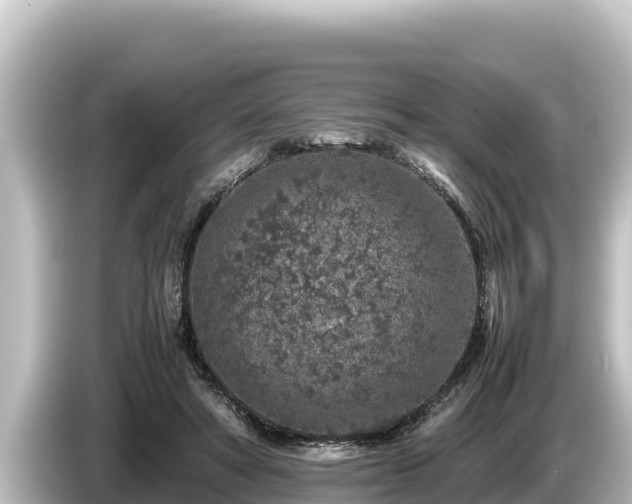 X0000085310402200703161455