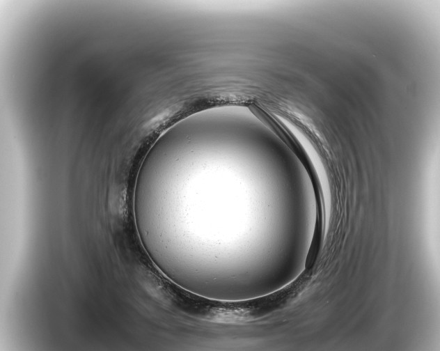 X0000085310403200703161455