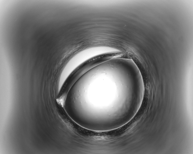 X0000085310404200703161455