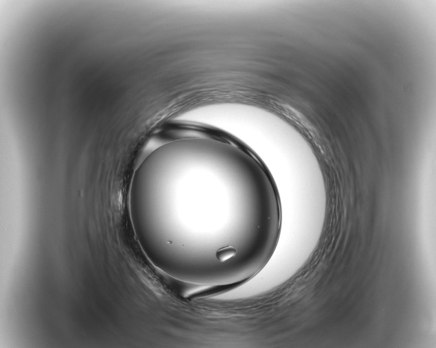 X0000085310405200703161455