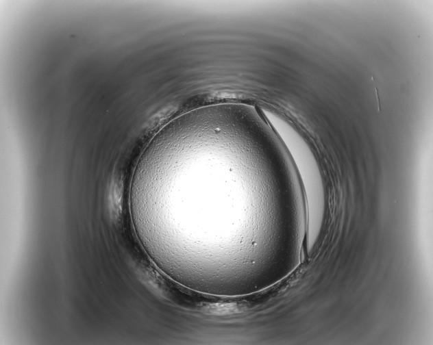X0000085310406200703161455