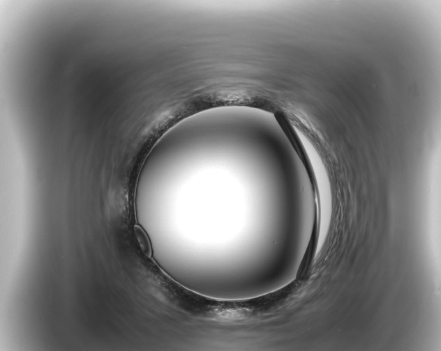 X0000085310407200703161455