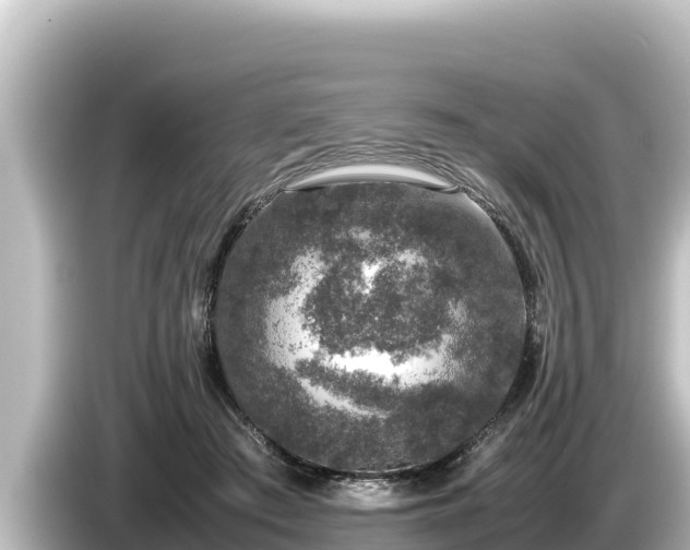 X0000085310409200703161455