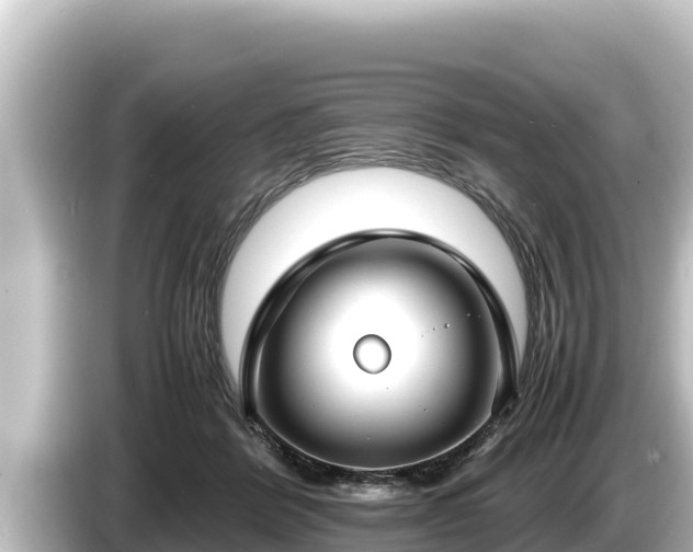 X0000085310412200703161455