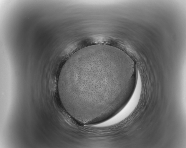 X0000085310413200703161455