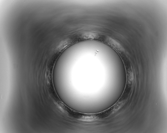 X0000085310414200703161455