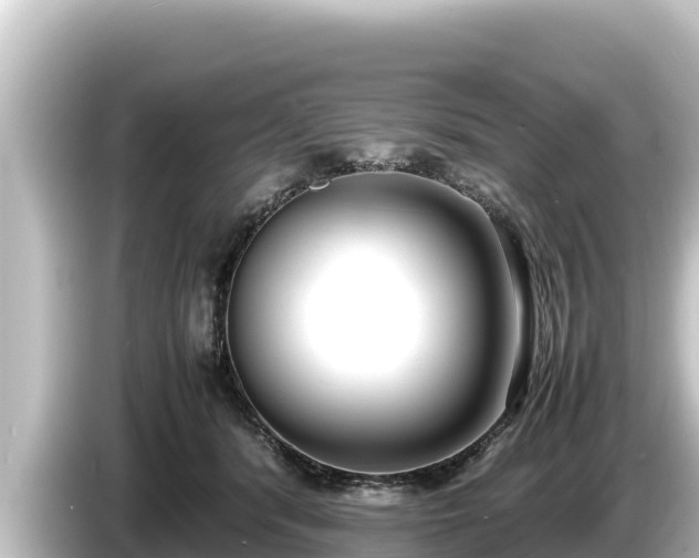 X0000085310416200703161455
