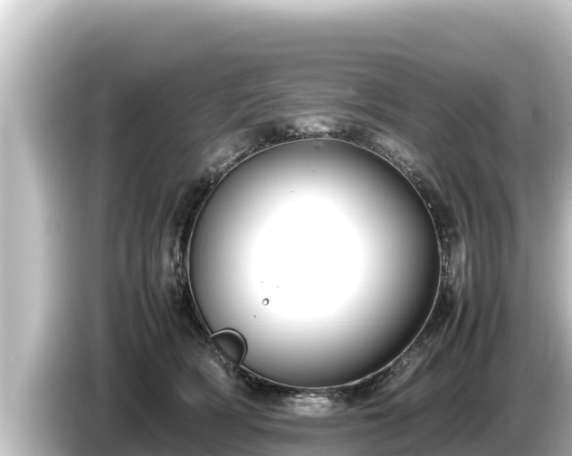 X0000085310418200703161455