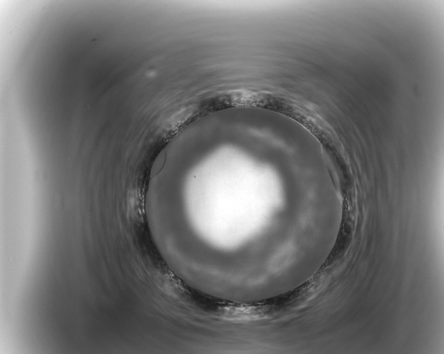 X0000085310419200703161455