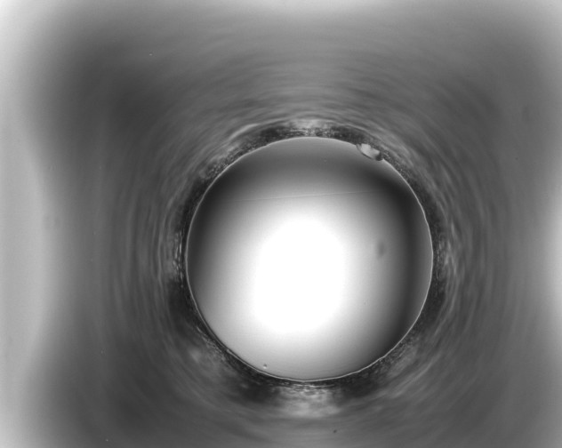 X0000085310421200703161455