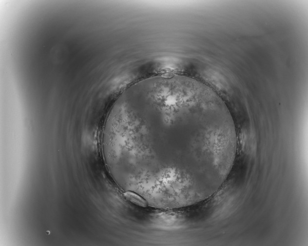 X0000085310423200703161455