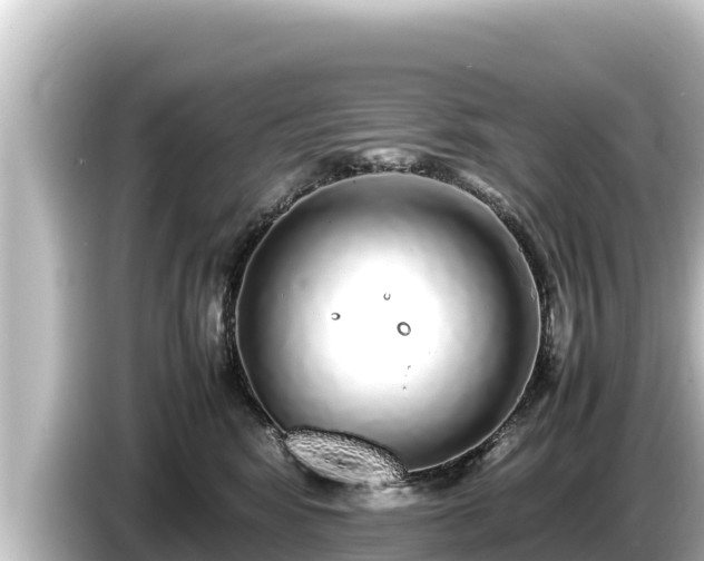 X0000085310424200703161455
