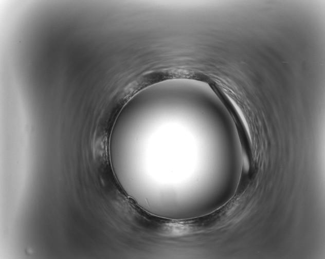 X0000085310425200703161455