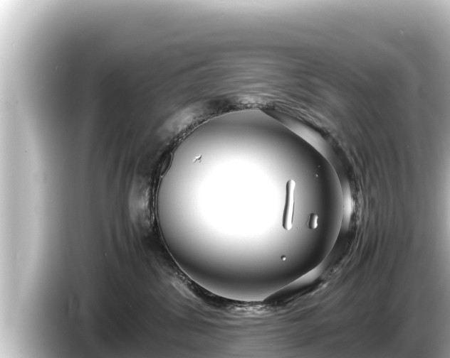 X0000085310428200703161455