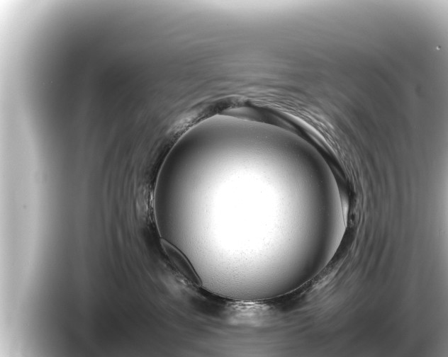X0000085310429200703161455