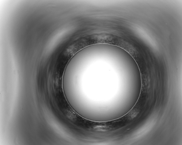 X0000085310430200703161455