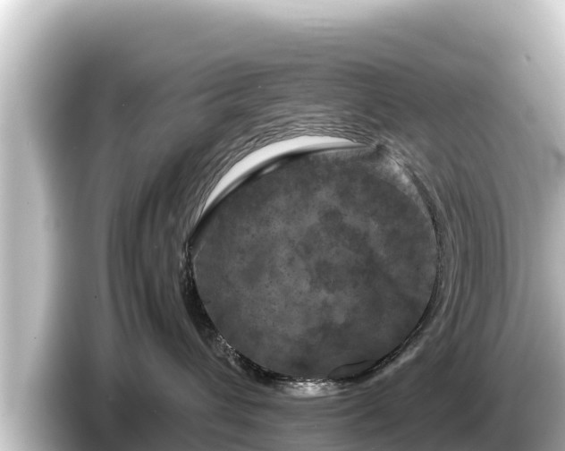 X0000085310432200703161455