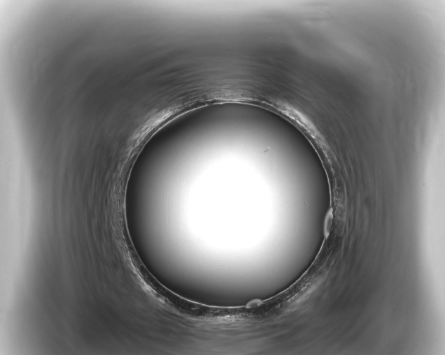 X0000085310433200703161454