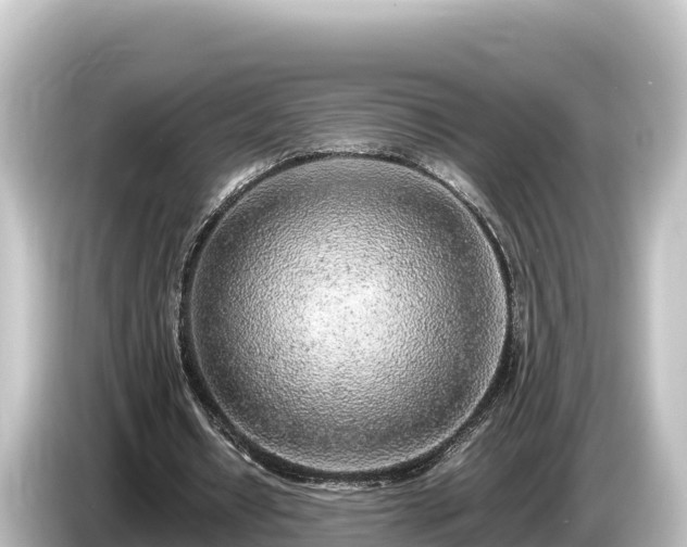 X0000085310434200703161454