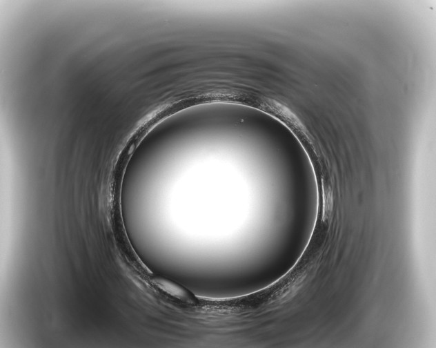 X0000085310435200703161454