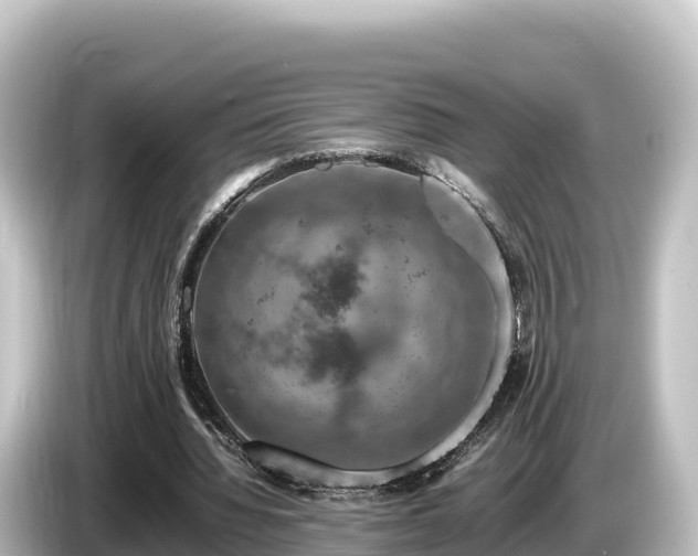 X0000085310436200703161454