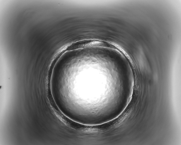 X0000085310437200703161455
