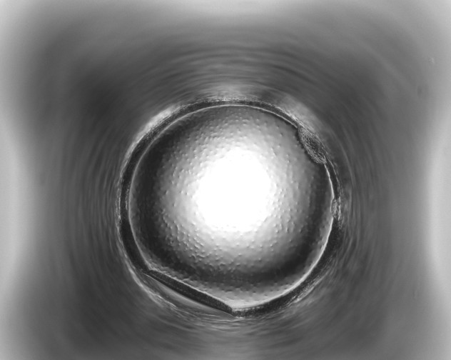 X0000085310438200703161455
