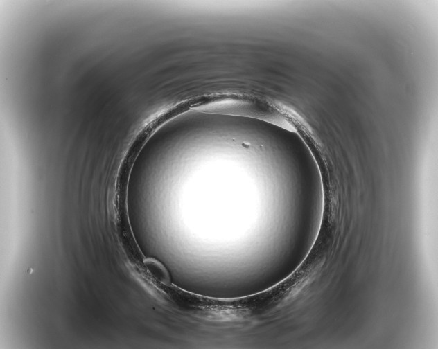 X0000085310439200703161455