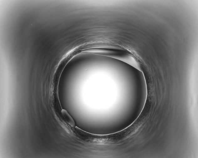 X0000085310440200703161455
