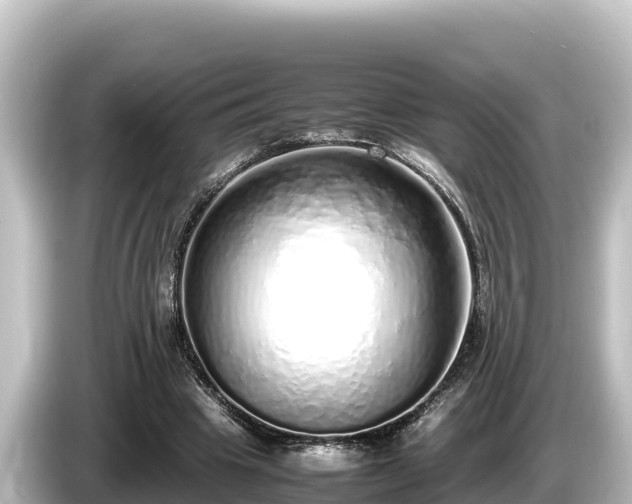 X0000085310441200703161455