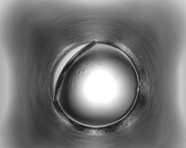 X0000085310442200703161455