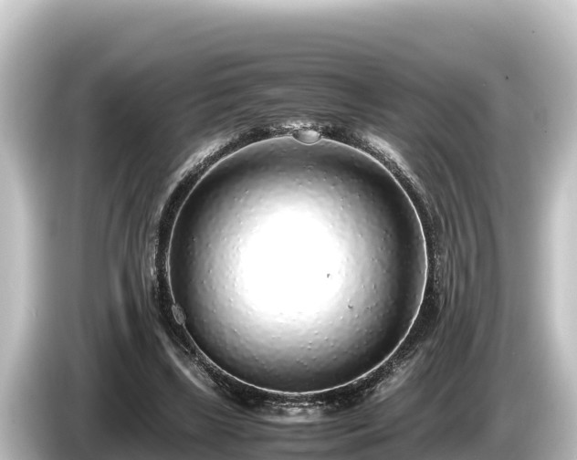 X0000085310443200703161455